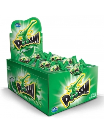 CHICLE POOSH HORTELA ARCOR 200GR