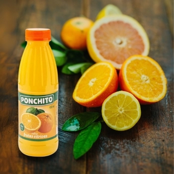 SUCO PONCHITO CITRUS 450 ML